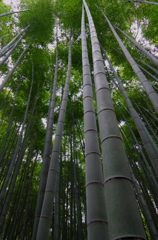 山紫水明