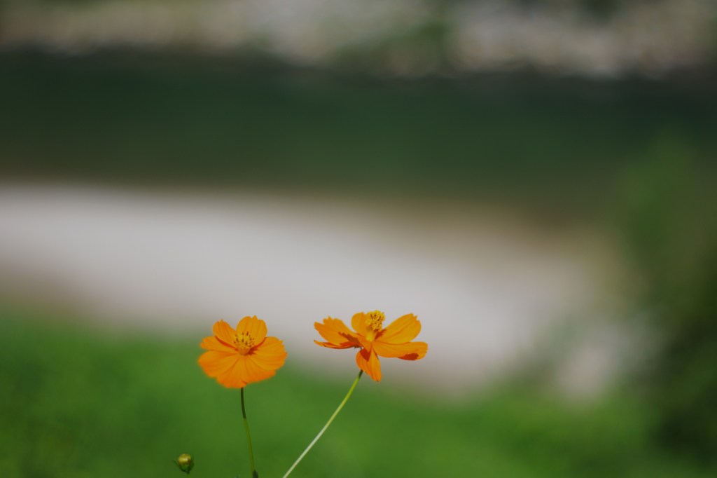 二人仲良く
