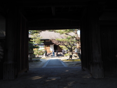 貞照院