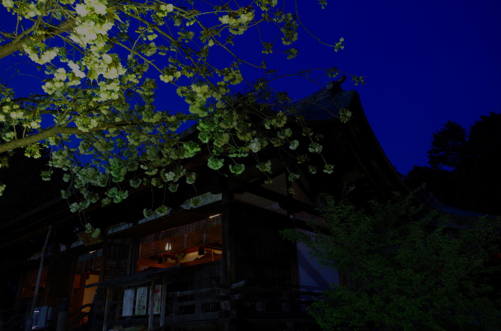鎌倉への想い