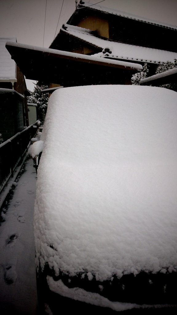 雪国？