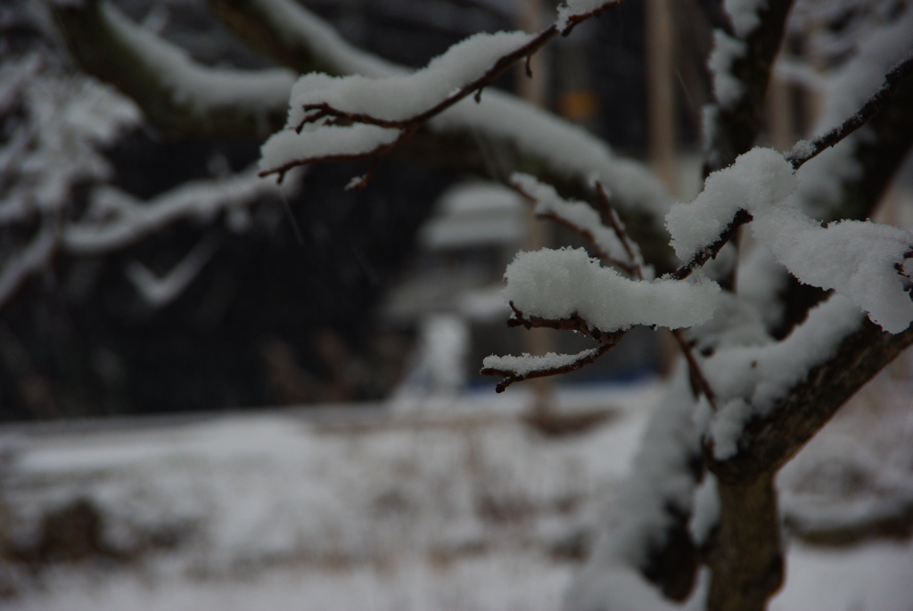 指先の降雪