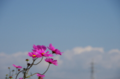 想い
