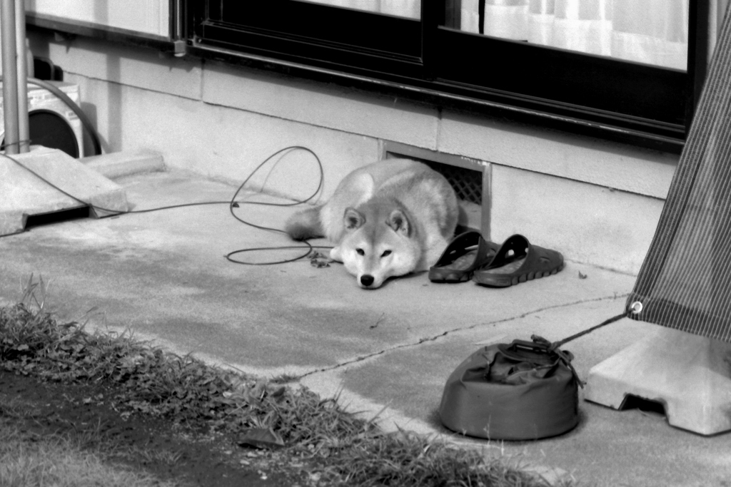 暇ぁぁ～～～