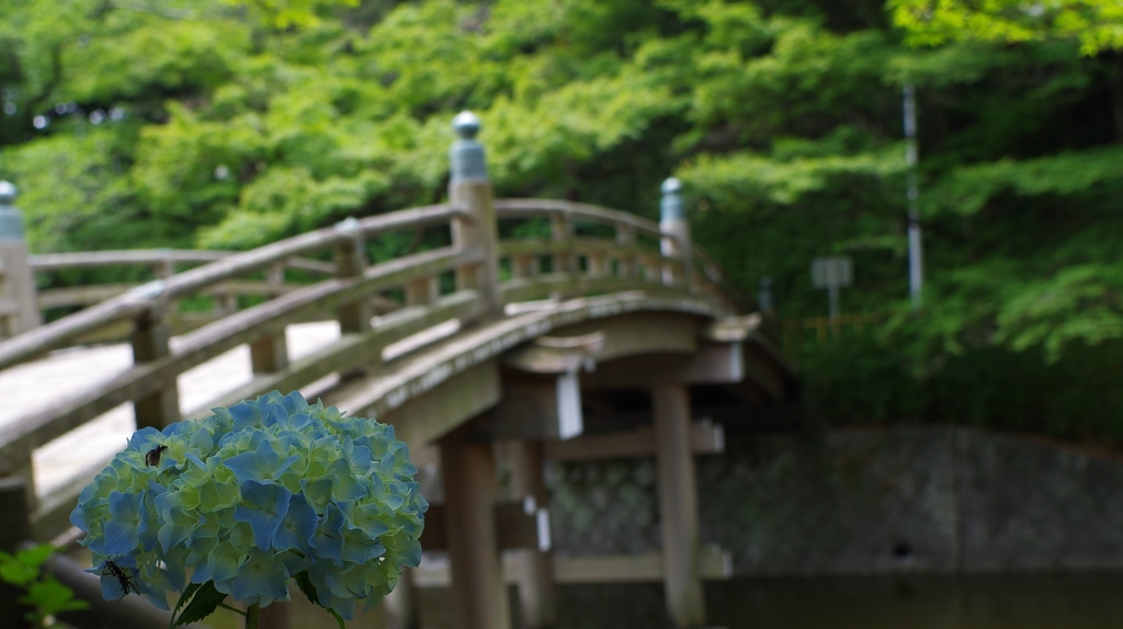 変化