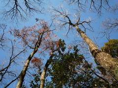 空