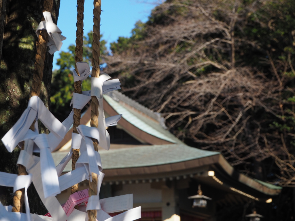 新年を占う