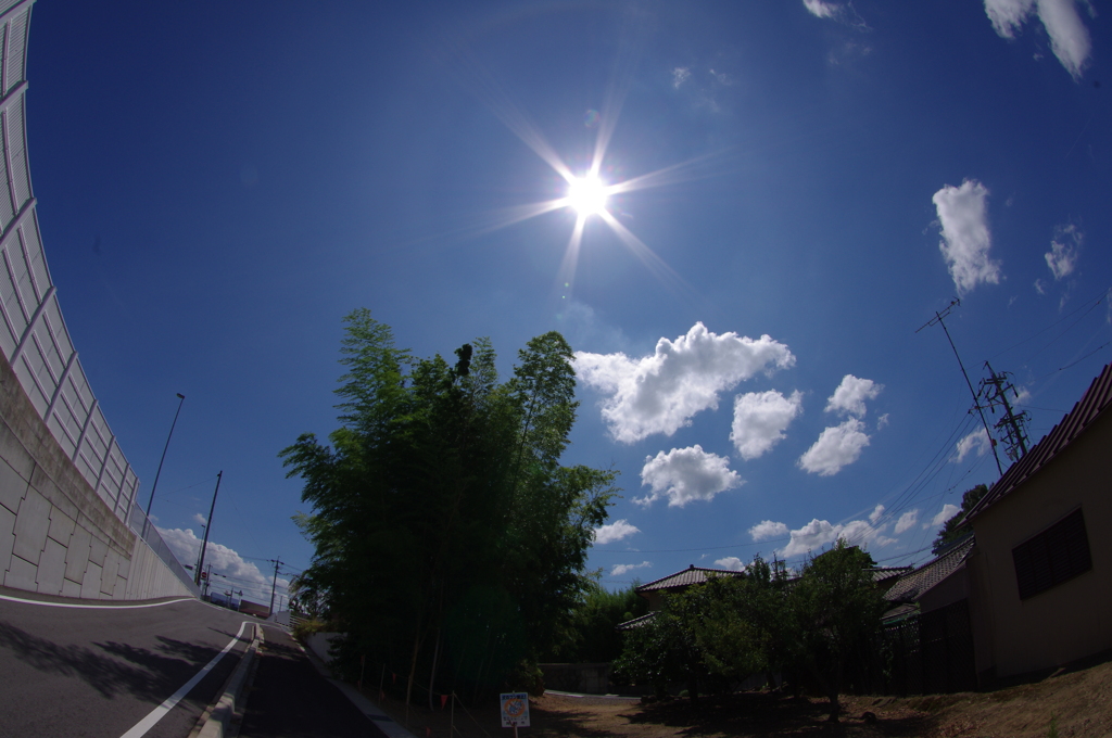 青空燦々