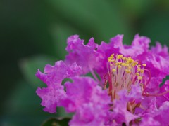 嵐の夜に安息を