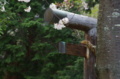 鳥居の花飾り
