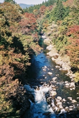 紅葉前　吉田川