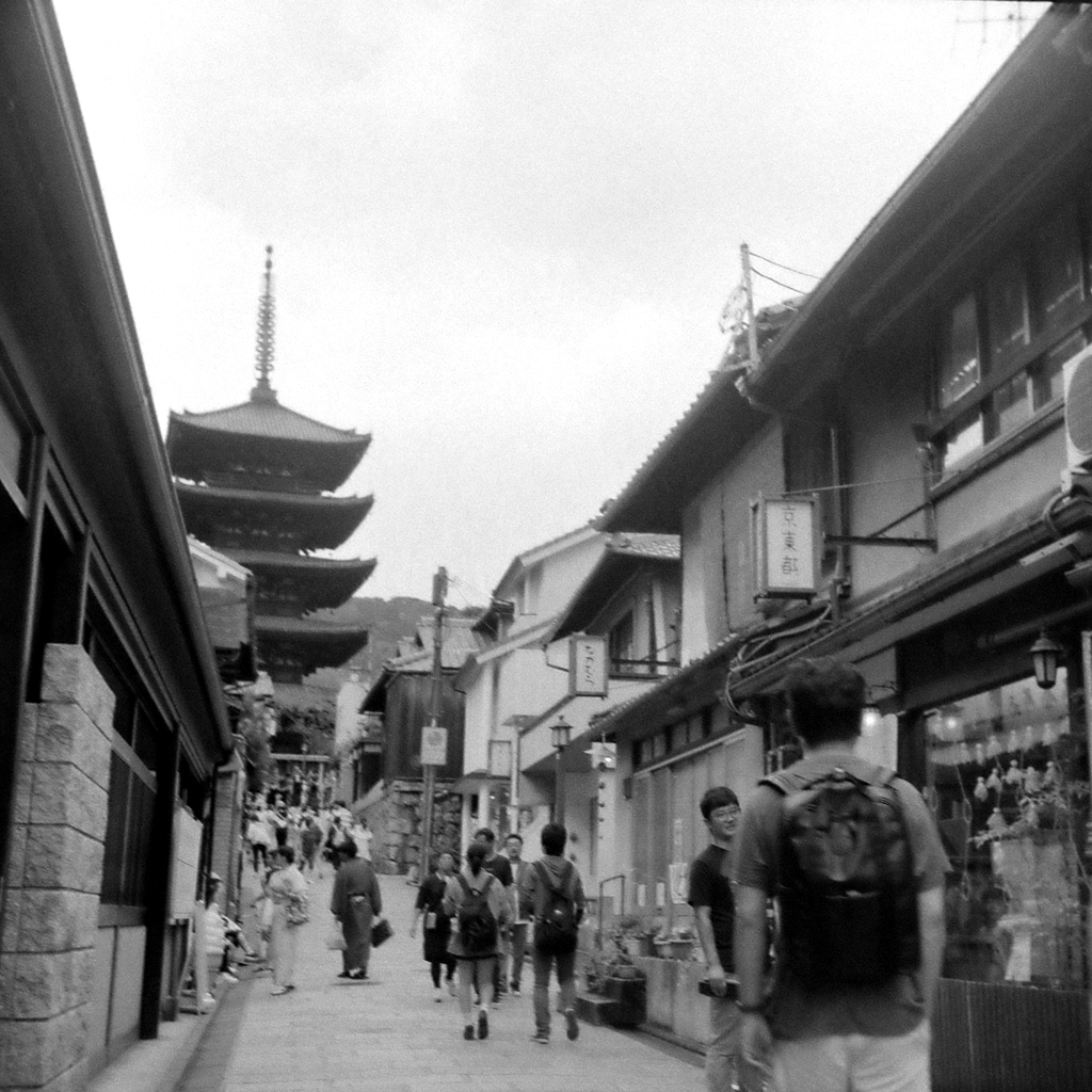 清水寺を望む