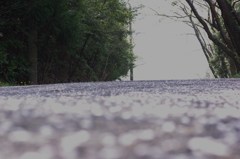 明日へとつづく・・・