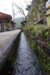 水の郷