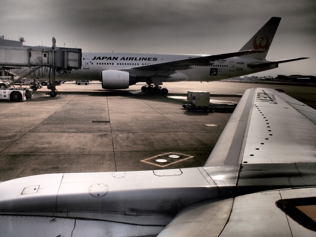 Flight