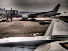Flight