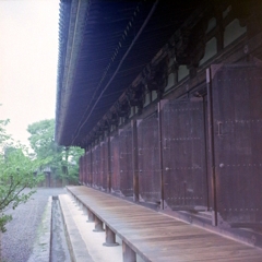 雨の三十三間堂