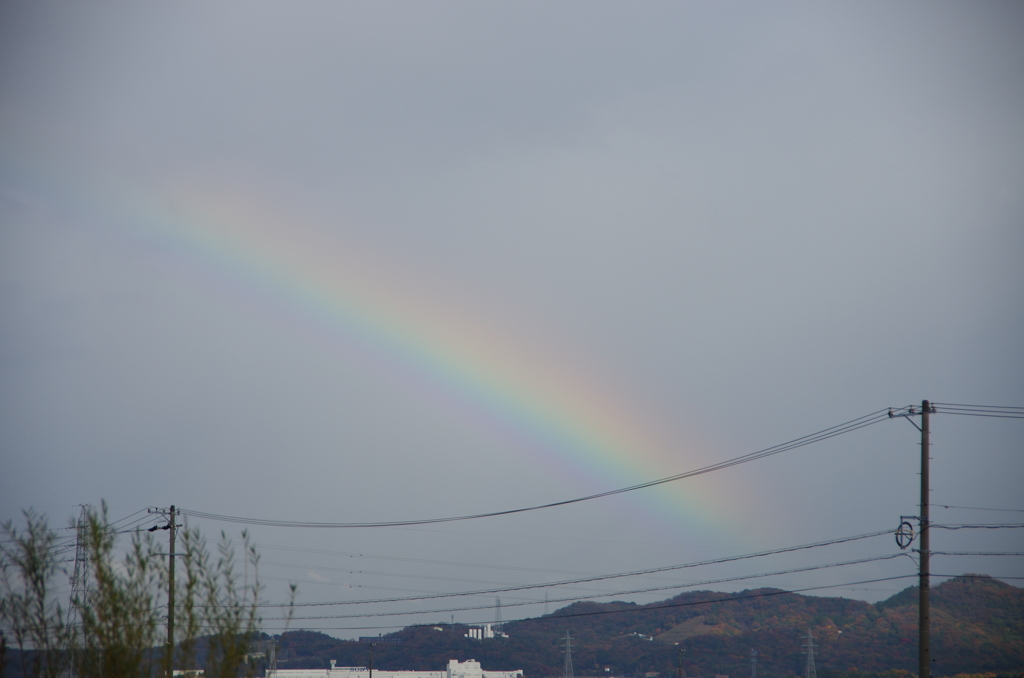 Rainbow