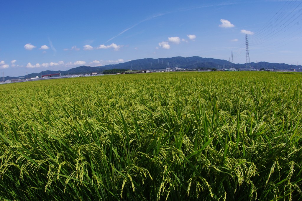 静かに・・そして確実に