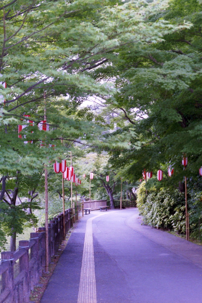 花菖蒲祭り