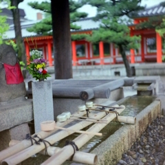 雨の三十三間堂