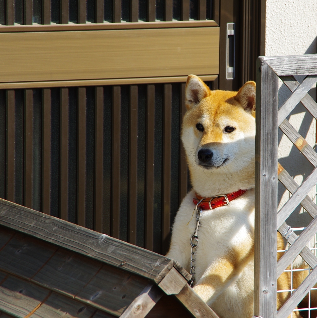 うん？！