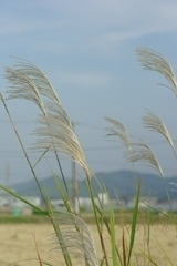 な　び　く