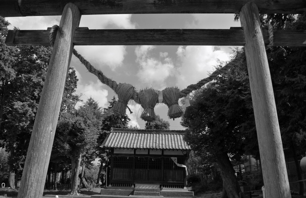 社