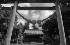 社