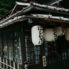 嵐山は元気でした
