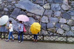 雨だったんです。。