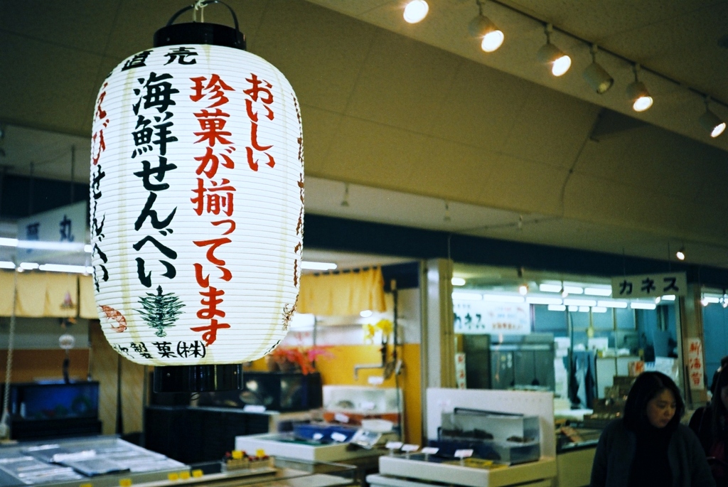 烏賊の姿煎餅も外せません