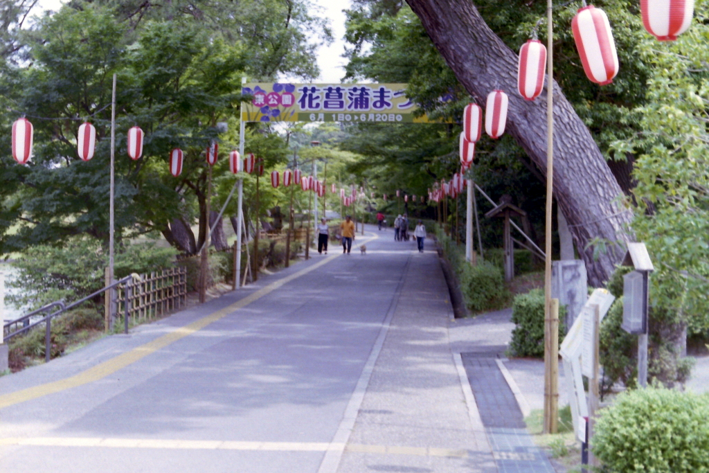 6月初旬