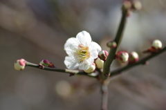 春のにおい