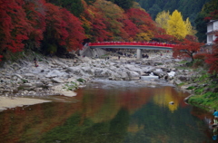 晩秋の彩　”待月橋をのぞむ”