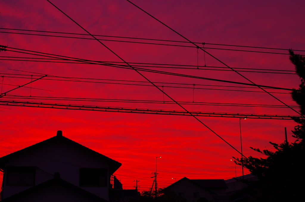 そまる
