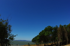 抜ければ海
