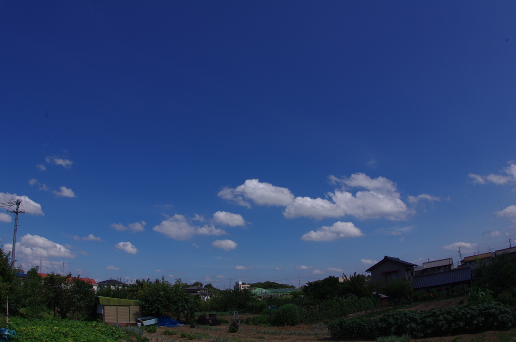 青空大好き