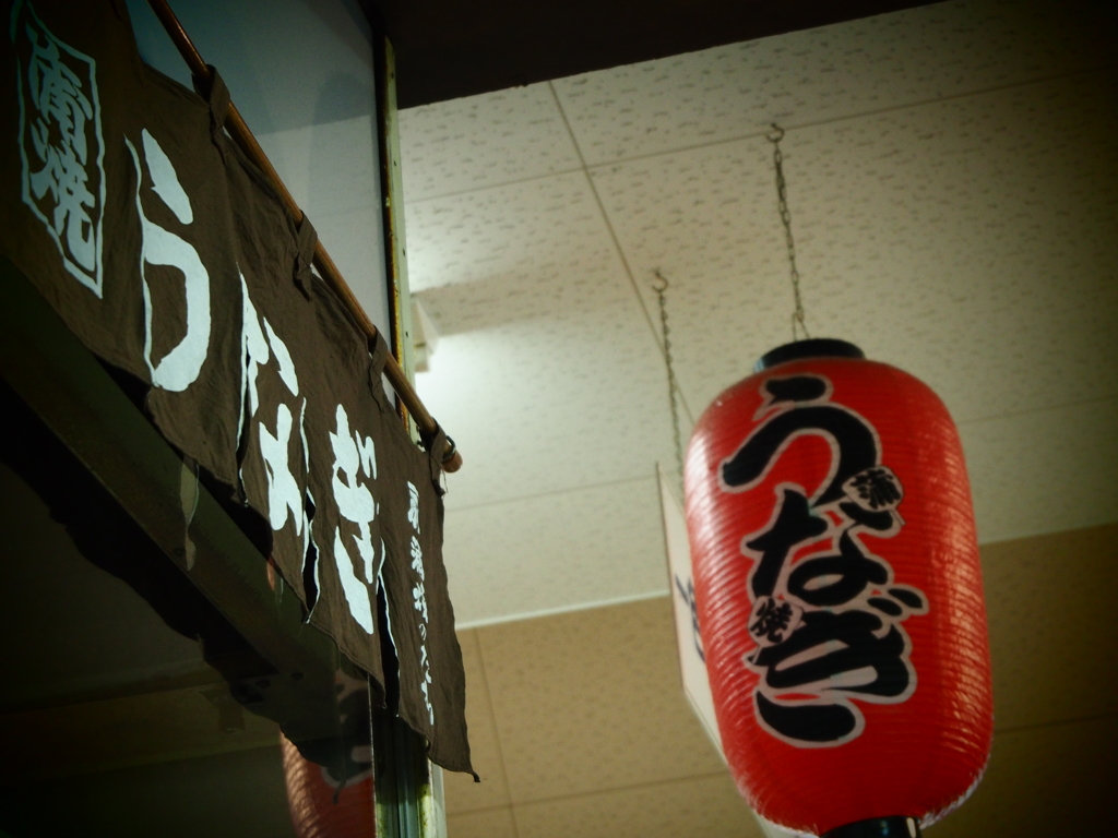 一年ぶり～