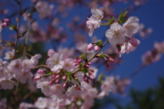 IMGP0280