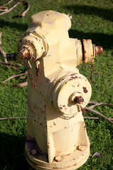 グアムの道端で。