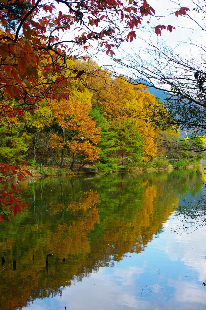 京の宝の池（これは綺麗に？＾＾）