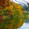 京の宝の池（これは綺麗に？＾＾）