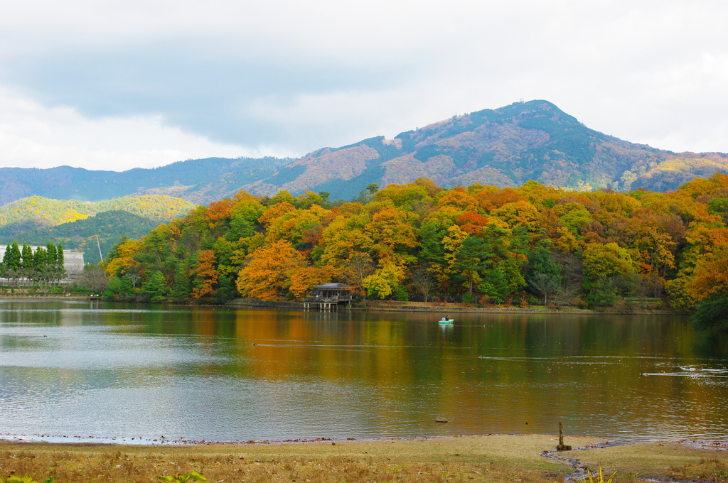 京の宝の池