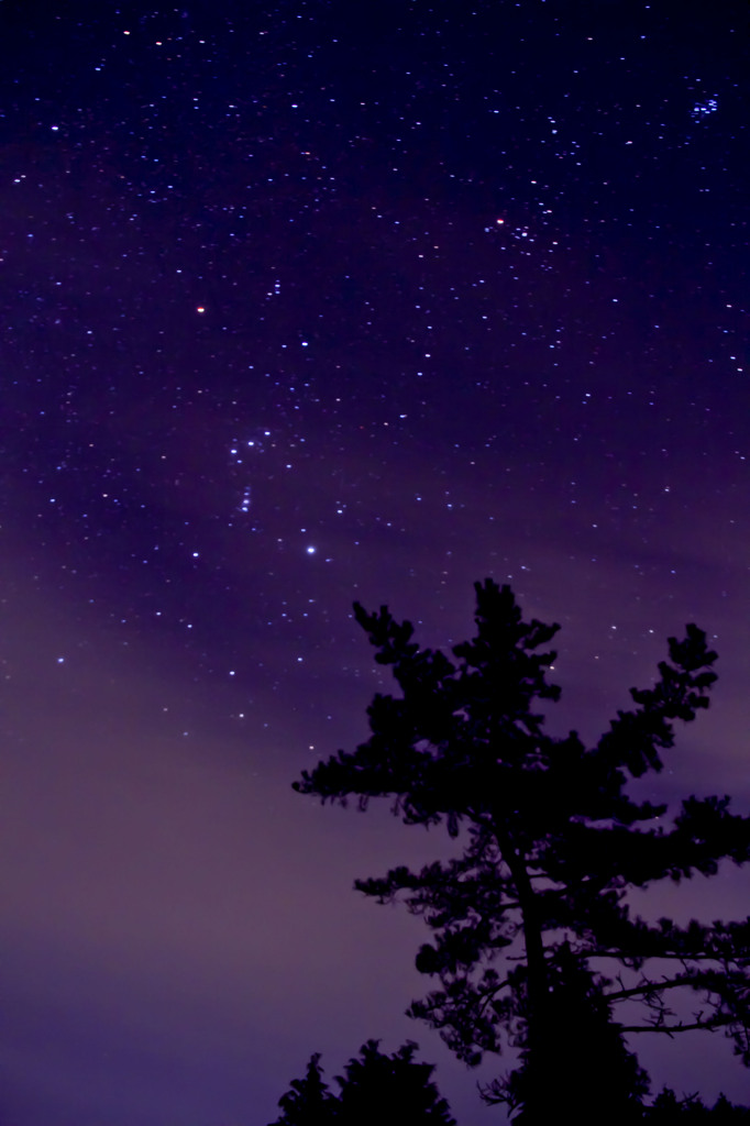 Orion