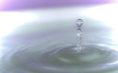 水こけし
