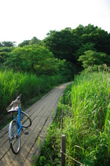 自転車で自然公園に