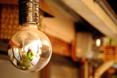 電球