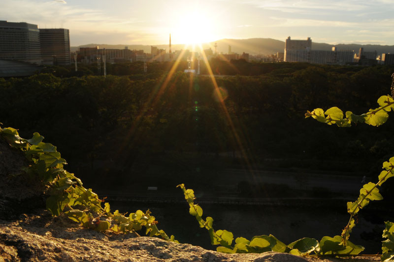 大阪城　日の出