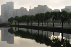 morning tokyo 04